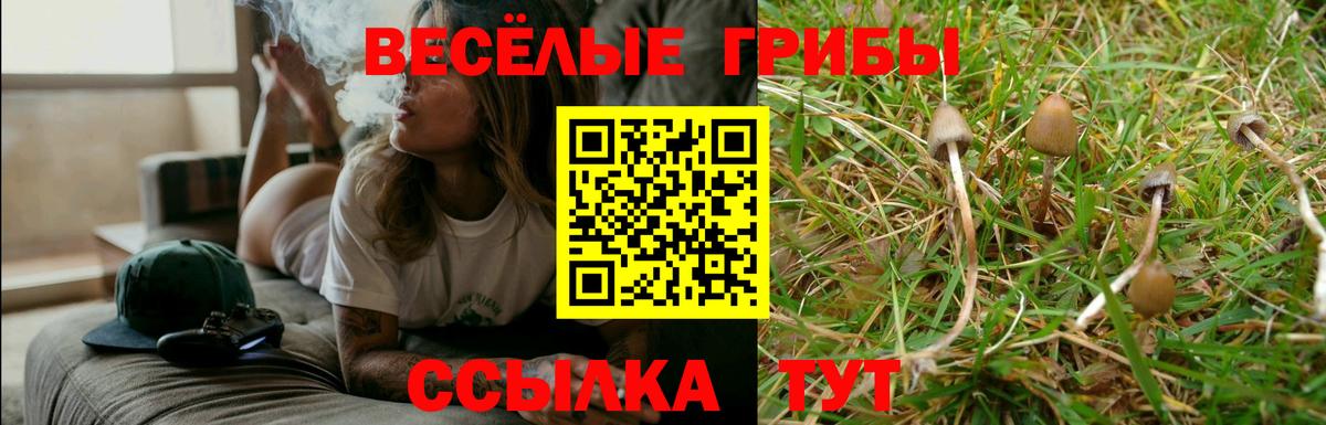 Псилоцибиновые грибы мухоморы Кудымкар